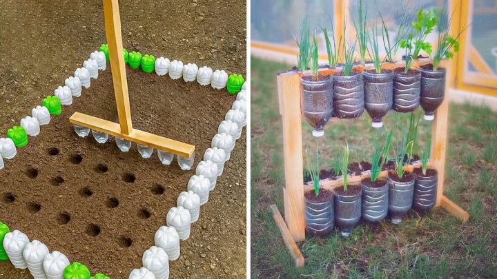 Slimme tuinhacks die echt werken: Efficiënter tuinieren voor iedereen