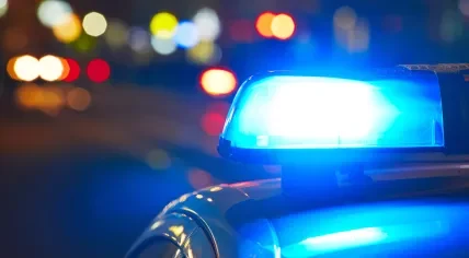 Police siren.